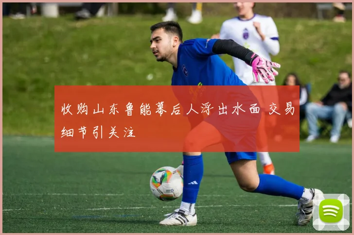 收购山东鲁能幕后人浮出水面 交易细节引关注
