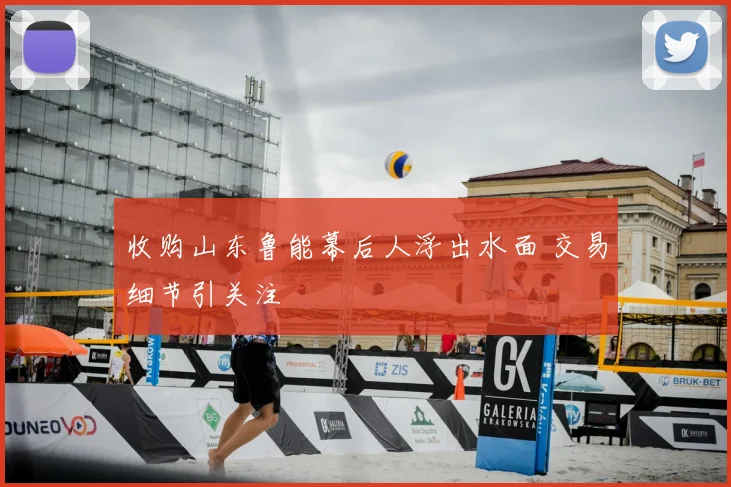 收购山东鲁能幕后人浮出水面 交易细节引关注